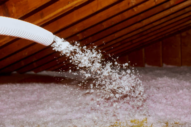 Best Commercial Insulation in Lake Isabella, CA