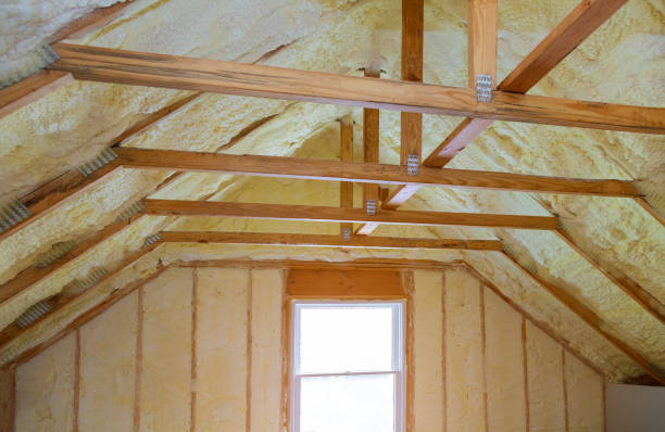Best Insulation Maintenance and Repair in Lake Isabella, CA